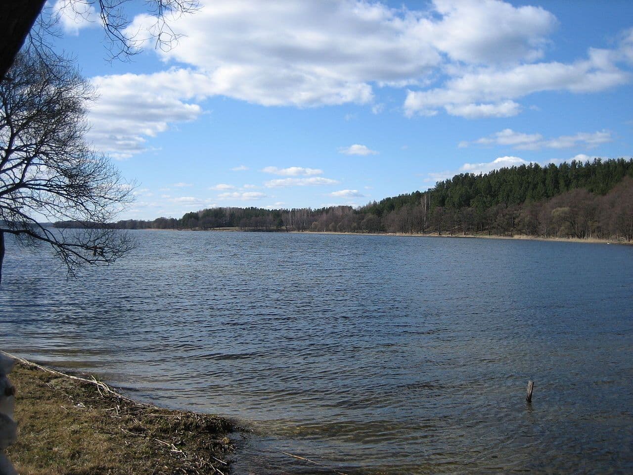 Gallery Image 0