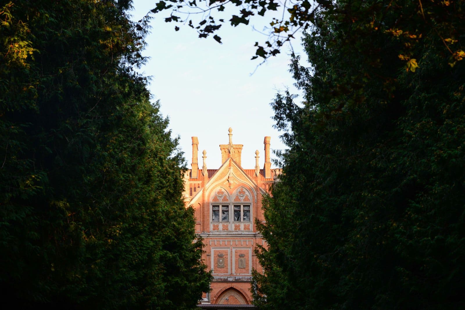 Gallery Image 1