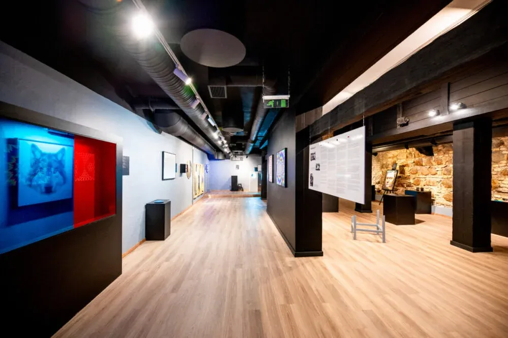 Gallery Image 2