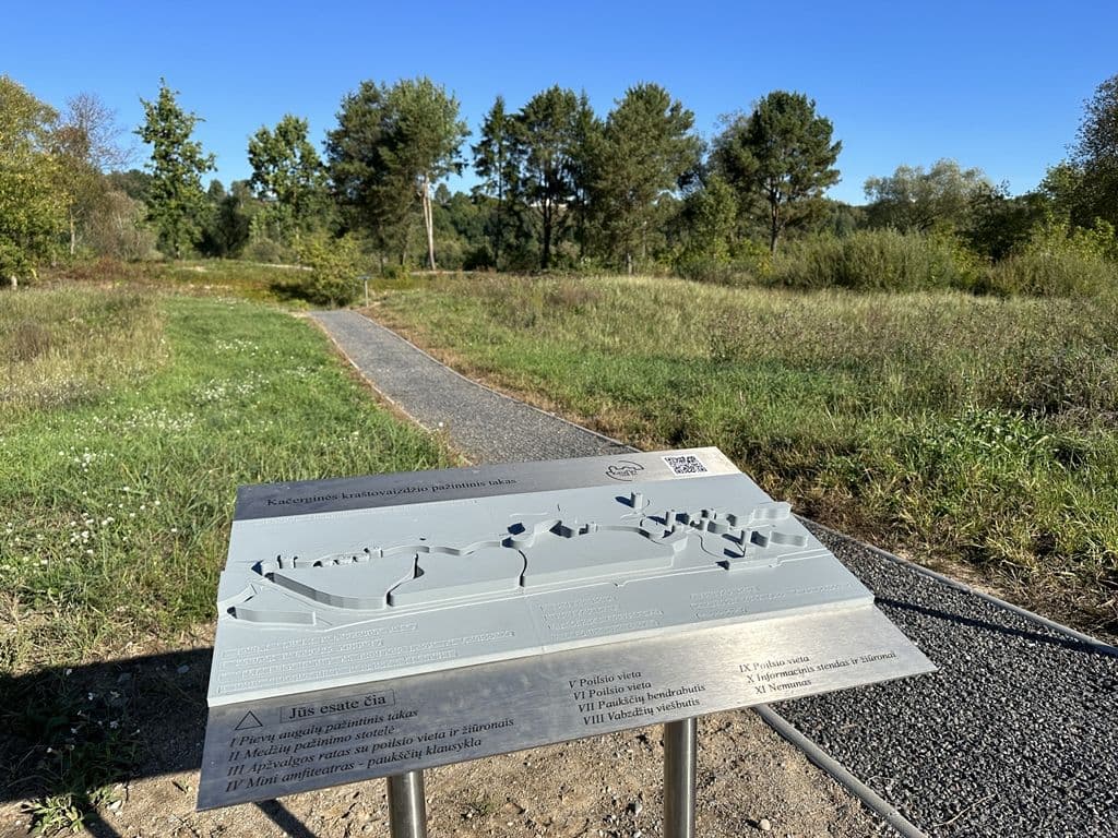 Gallery Image 6