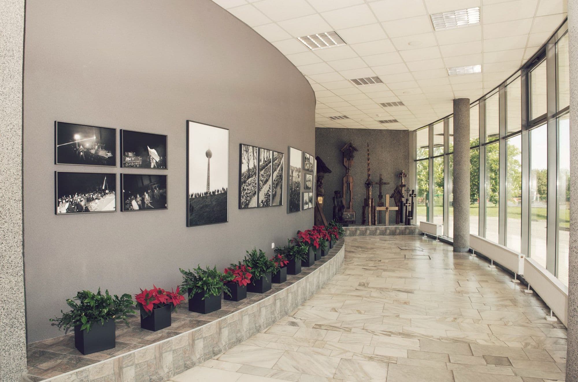 Gallery Image 8