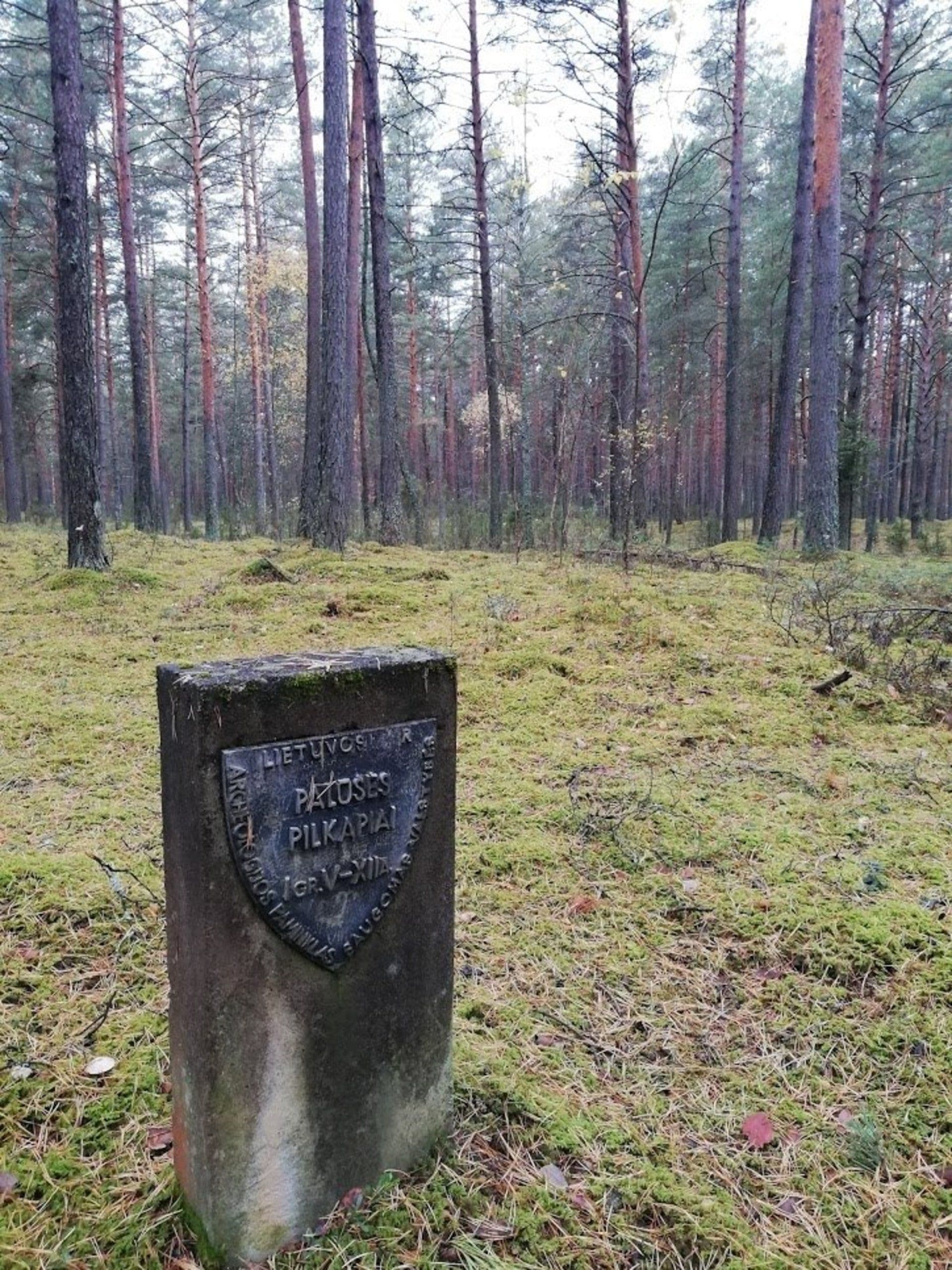 Gallery Image 6