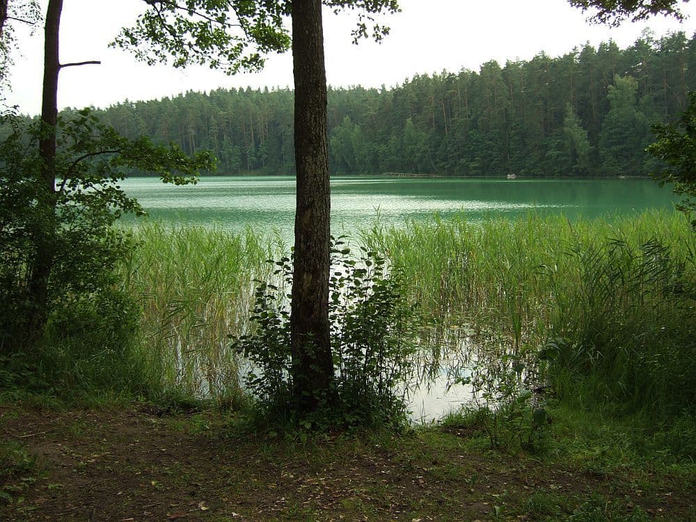 Gallery Image 0
